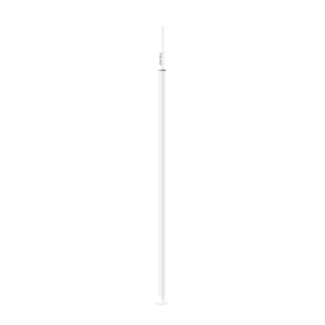 Replacement Straws [EUJ4]