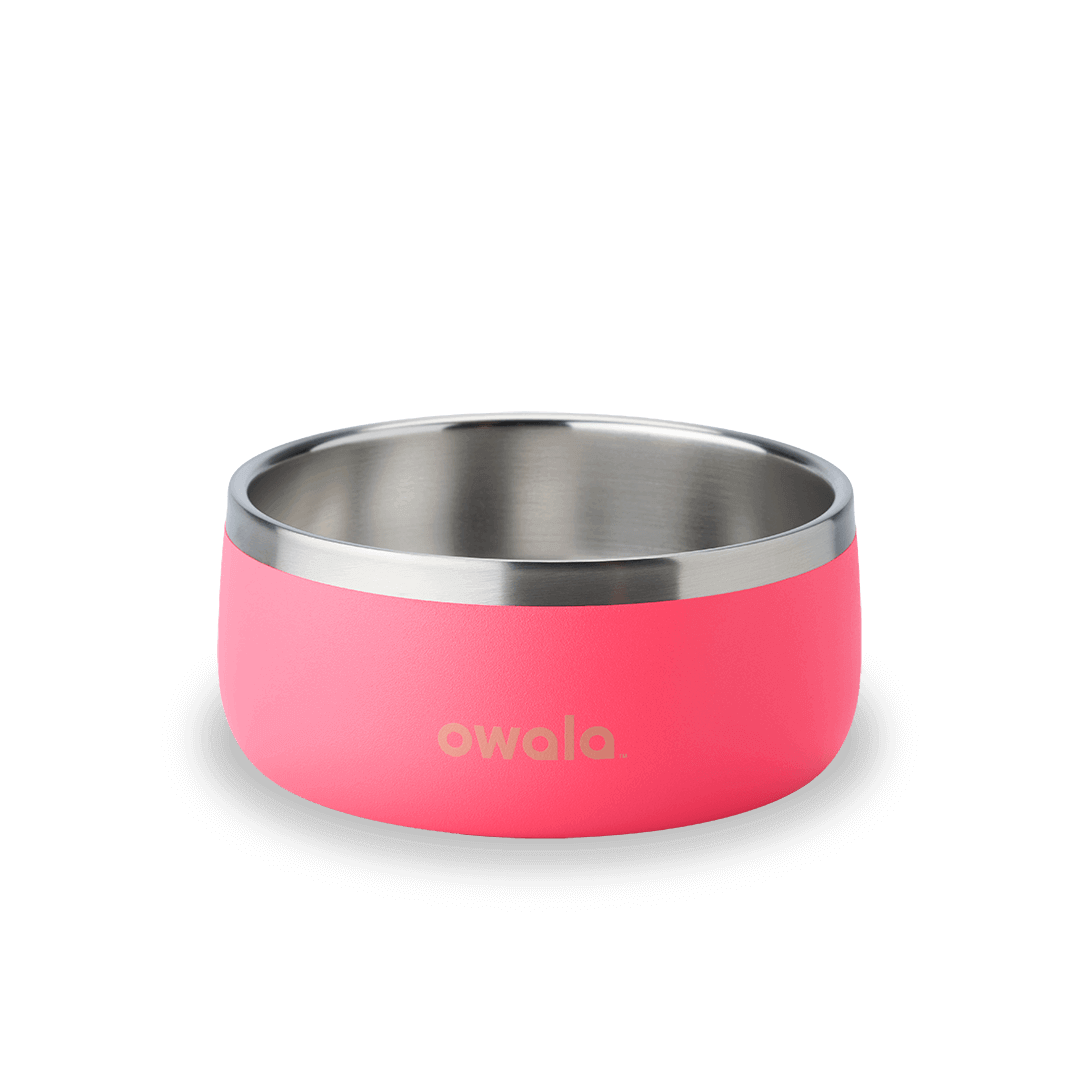 Pet Bowl [X6FW]
