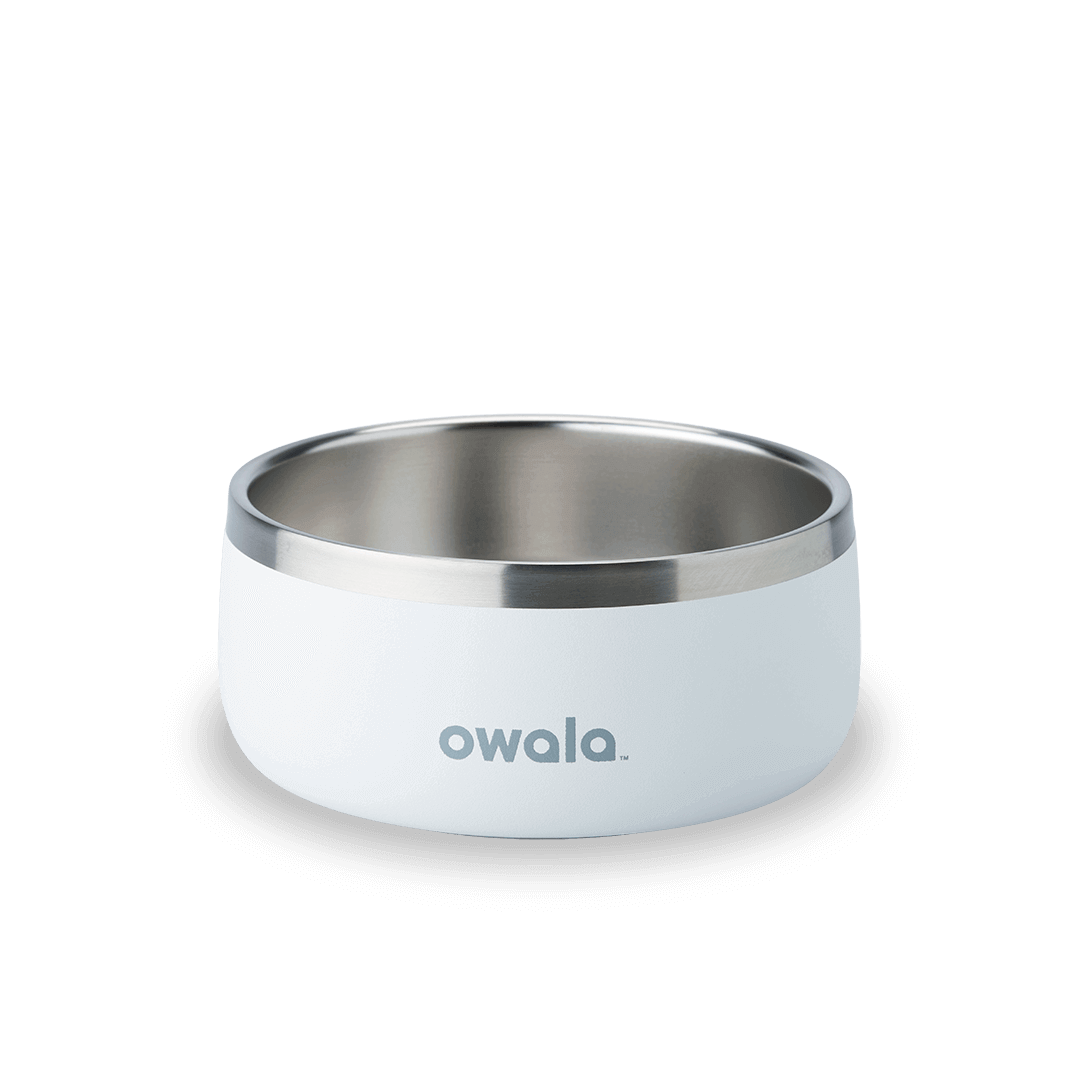 Pet Bowl [X6FW]