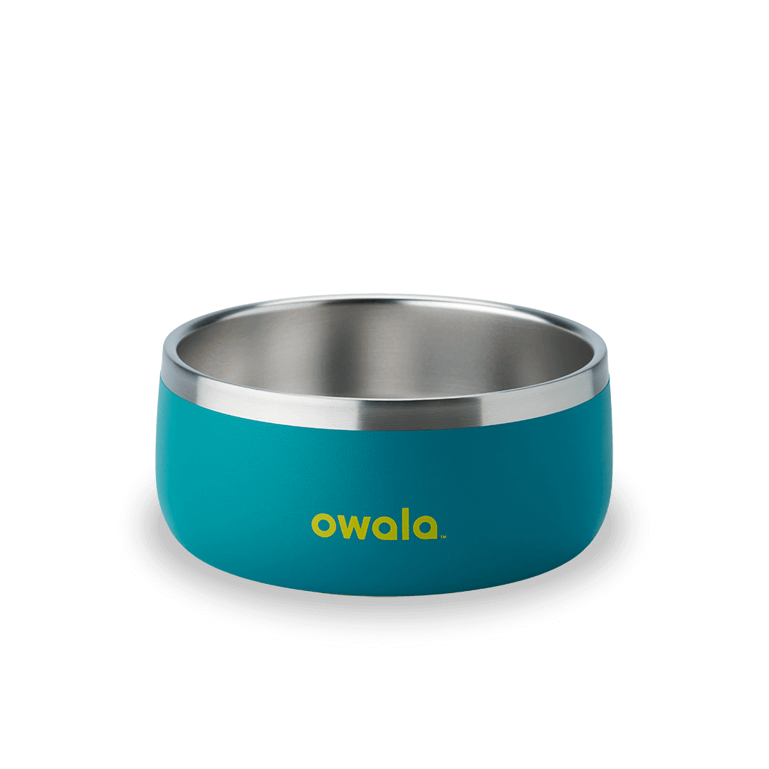 Pet Bowl [X6FW]