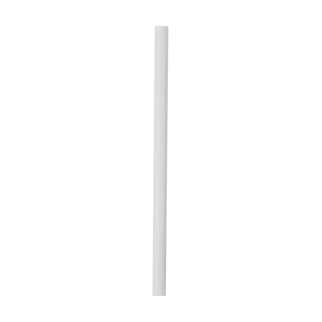 Replacement Straws [EUJ4]
